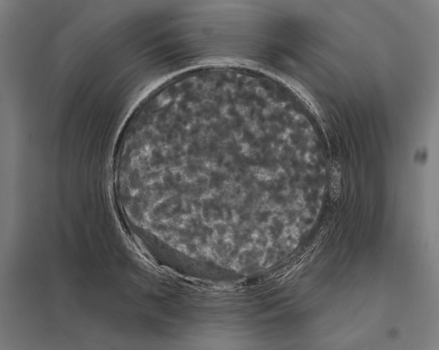 X0000097590895200803280924