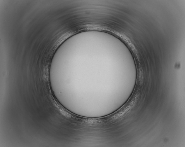 X0000097590897200803280924