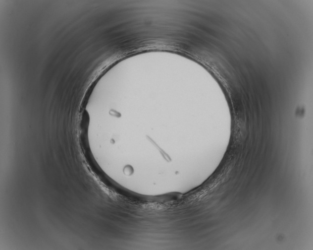 X0000097590898200803280924