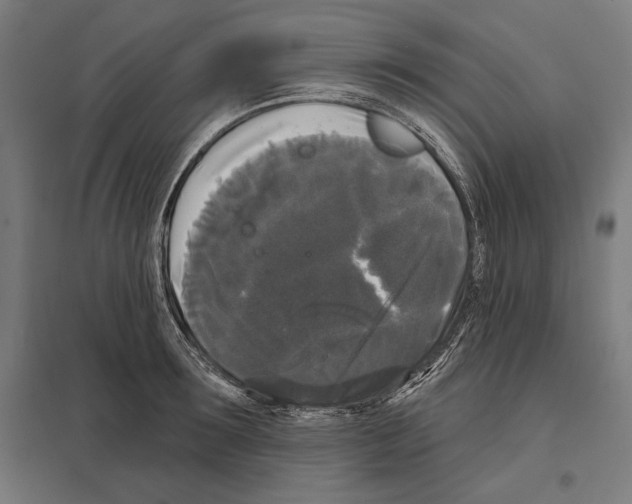 X0000097590899200803280924