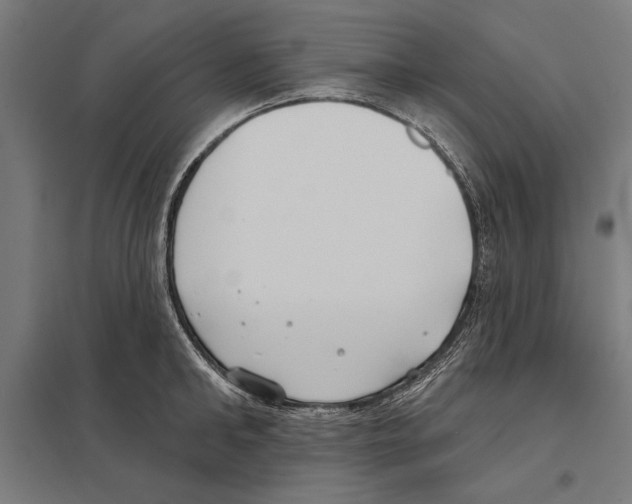 X0000097590902200803280924