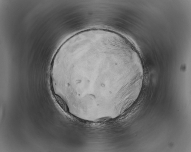 X0000097590903200803280924