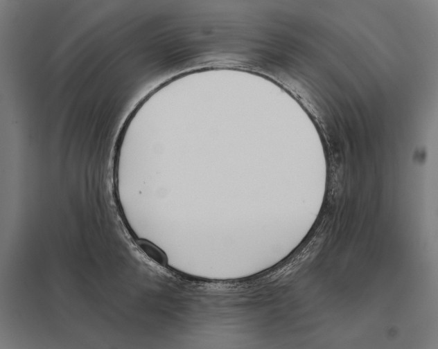 X0000097590904200803280924