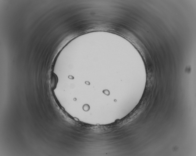 X0000097590906200803280924