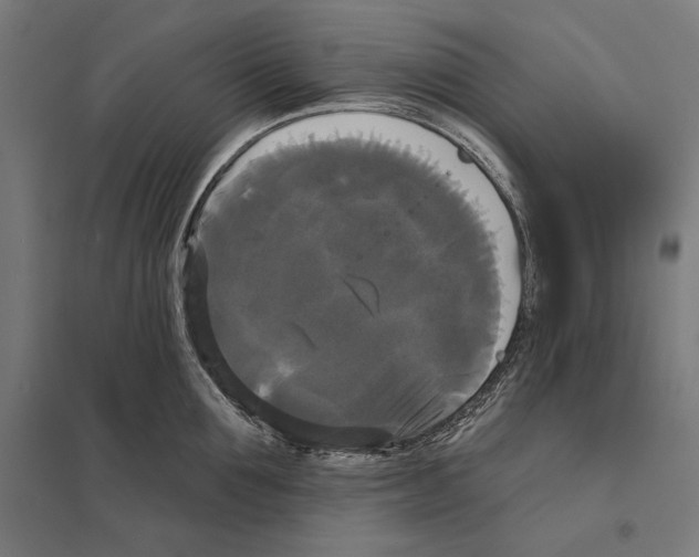 X0000097590907200803280924