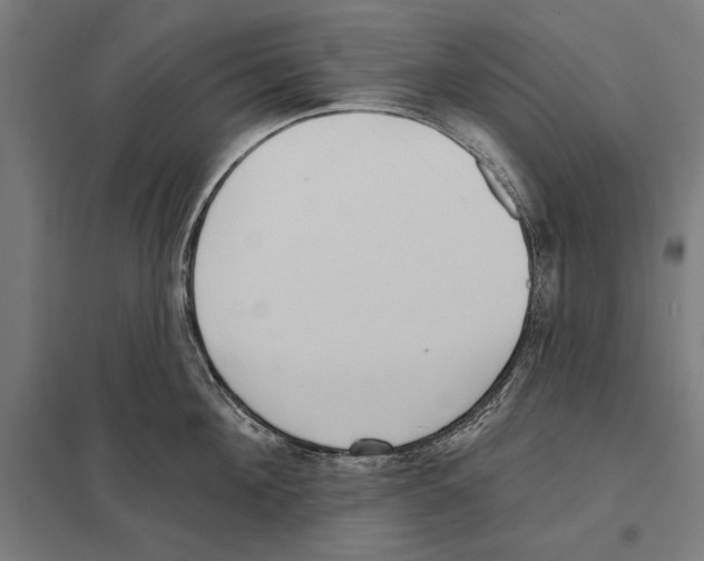 X0000097590908200803280924