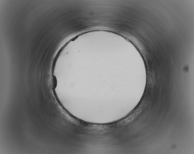 X0000097590910200803280924