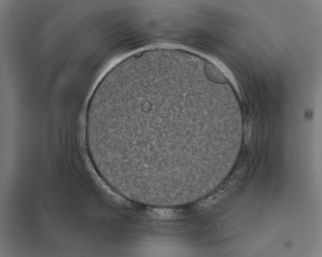 X0000097590911200803280924