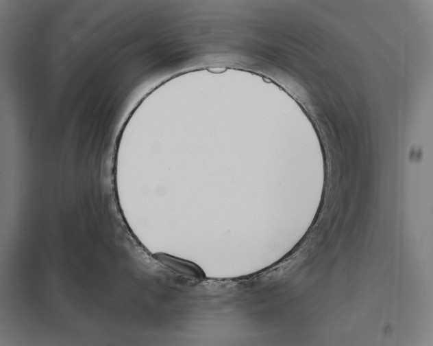 X0000097590912200803280924