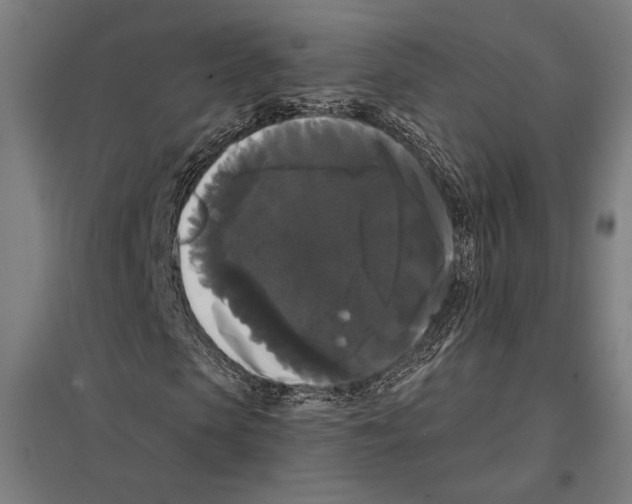 X0000097590913200803280924