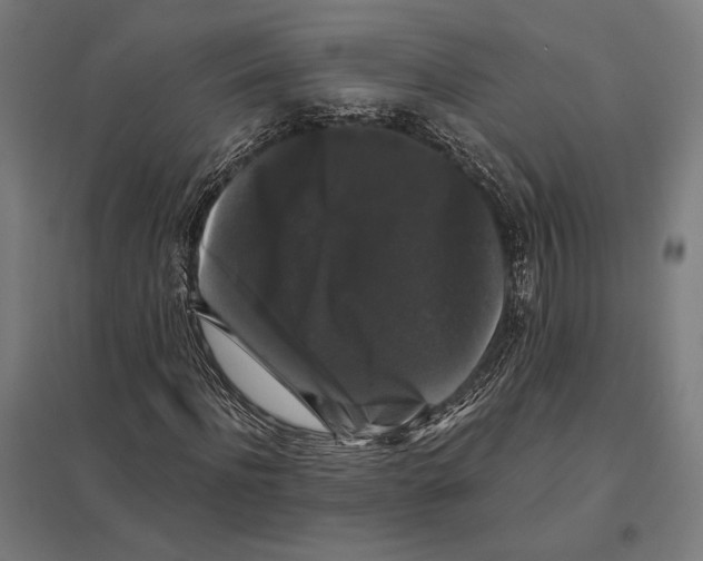 X0000097590916200803280924