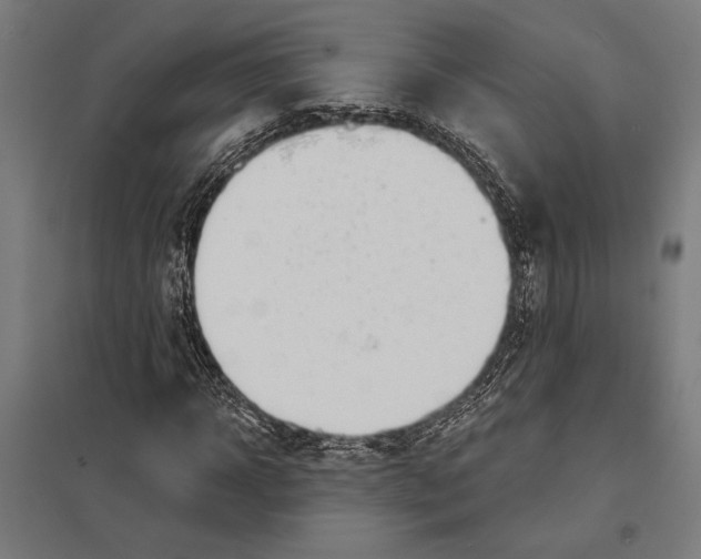 X0000097590918200803280924