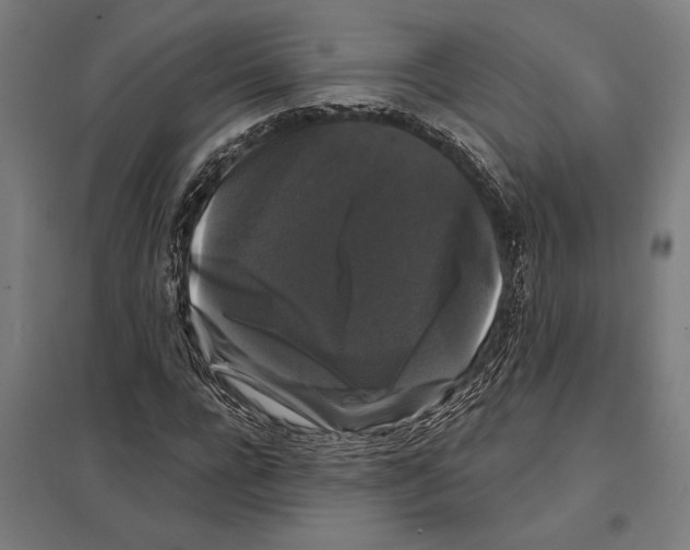 X0000097590920200803280924