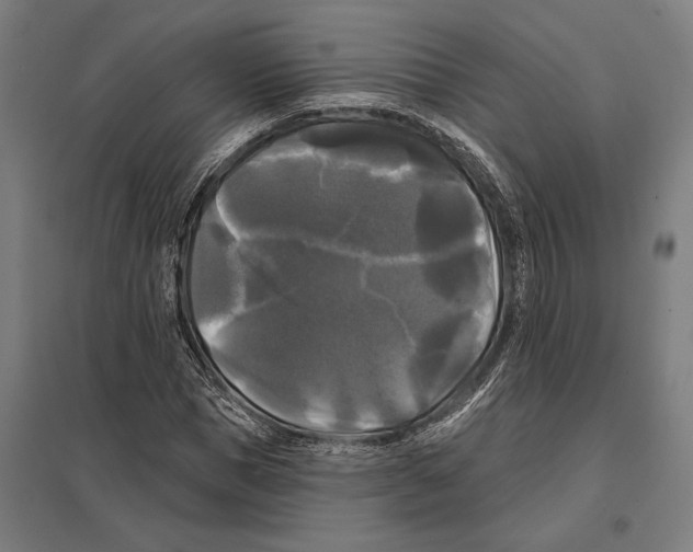 X0000097590921200803280924