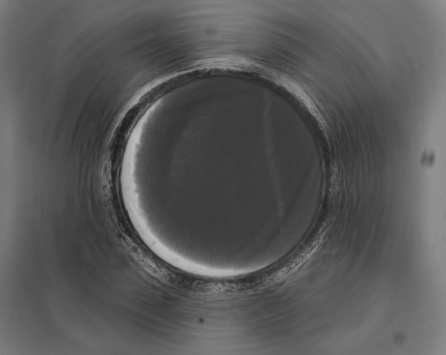 X0000097590923200803280924