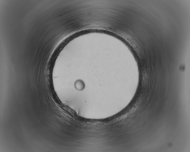 X0000097590926200803280924