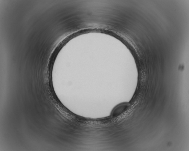 X0000097590927200803280924