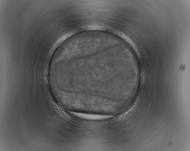 X0000097590930200803280924