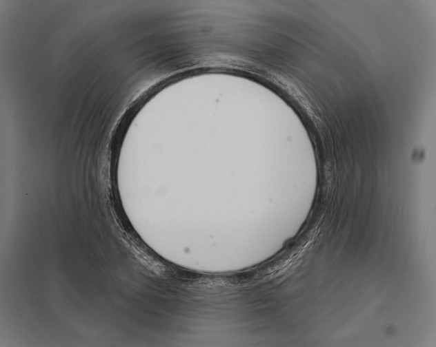 X0000097590931200803280924