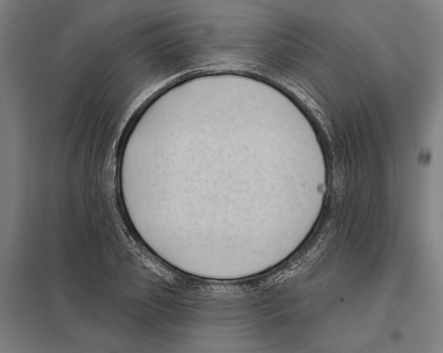 X0000097590933200803280924