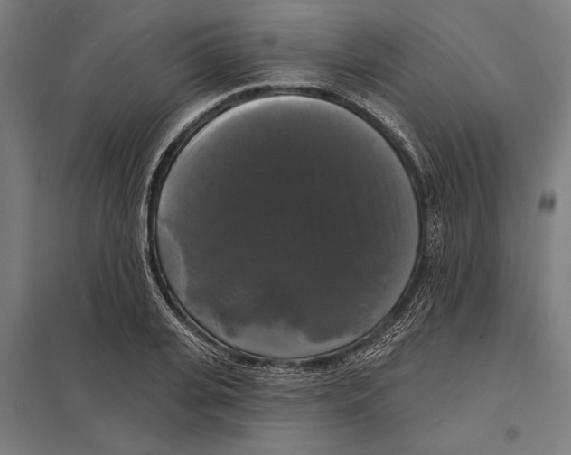 X0000097590935200803280924