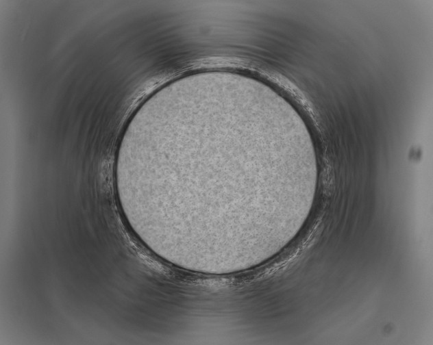 X0000097590937200803280924