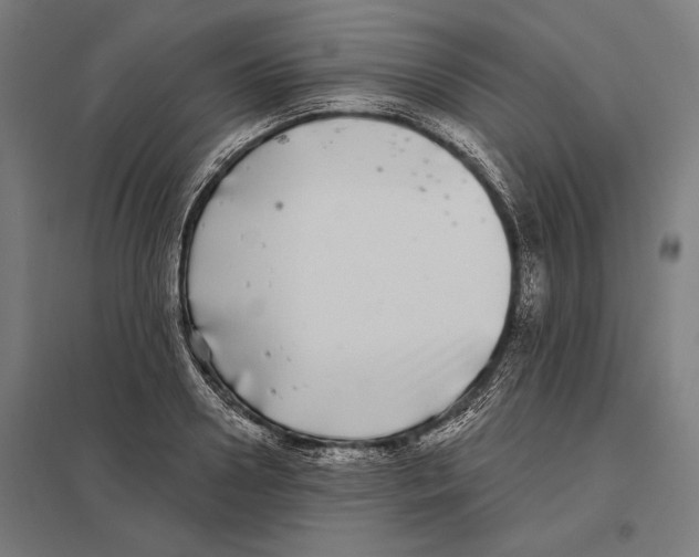 X0000097590938200803280924