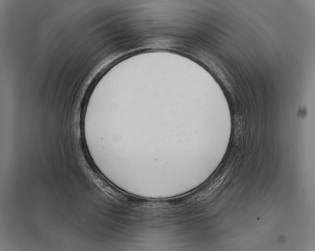 X0000097590939200803280924