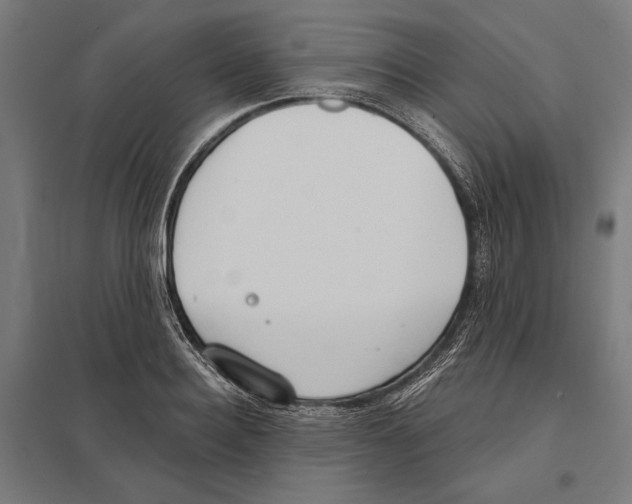 X0000097590940200803280924