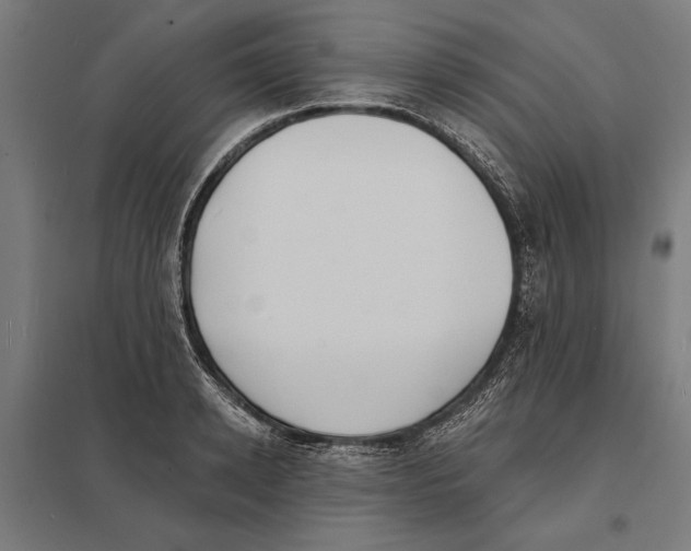 X0000097590942200803280924