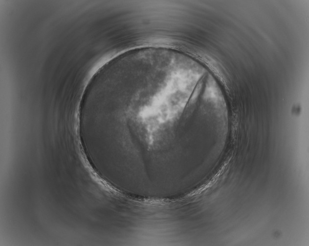 X0000097590944200803280924