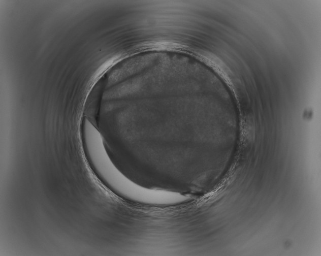 X0000097590946200803280924