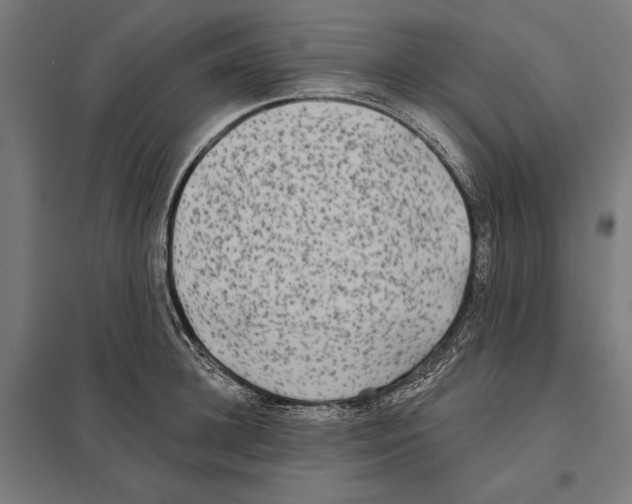 X0000097590948200803280924