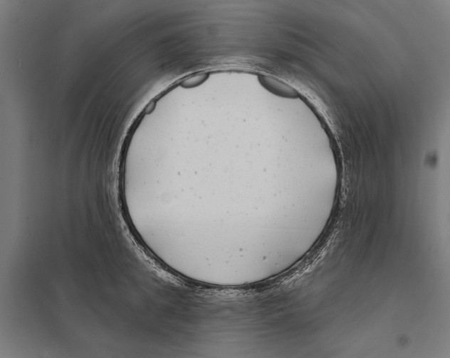 X0000097590949200803280924