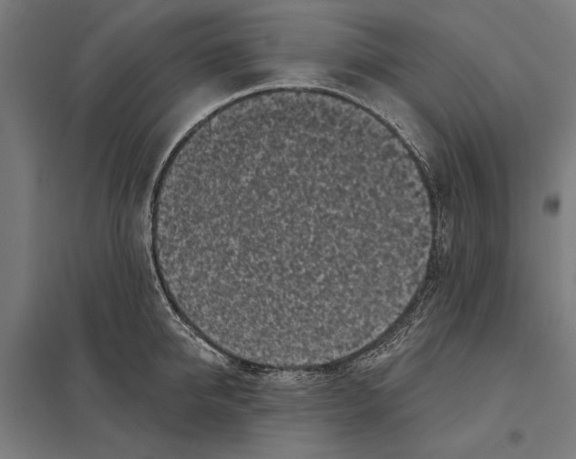 X0000097590950200803280924