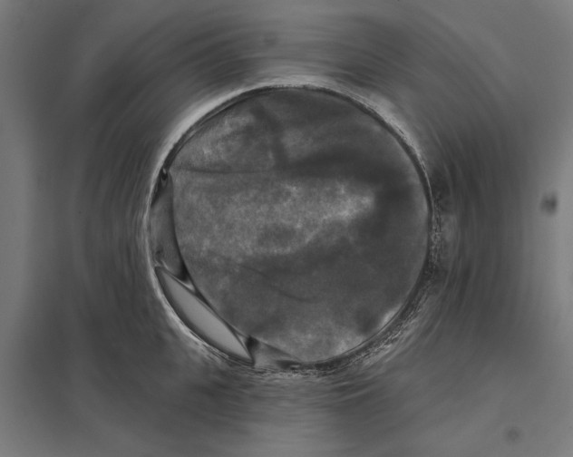 X0000097590951200803280924