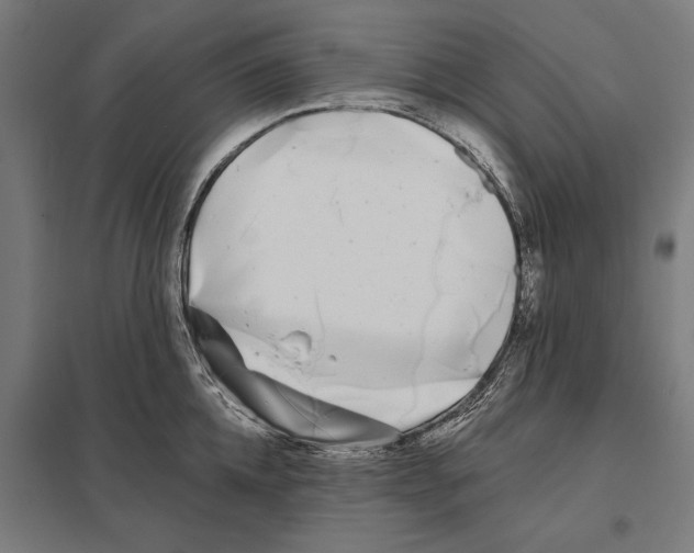 X0000097590952200803280924