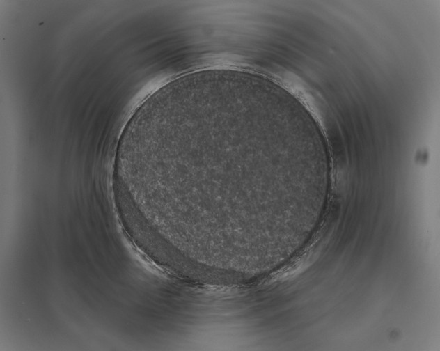 X0000097590954200803280924