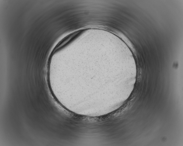 X0000097590955200803280924