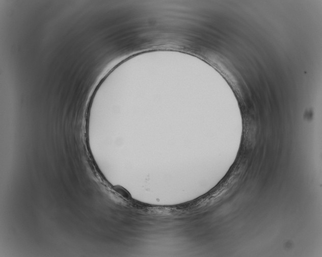 X0000097590956200803280924