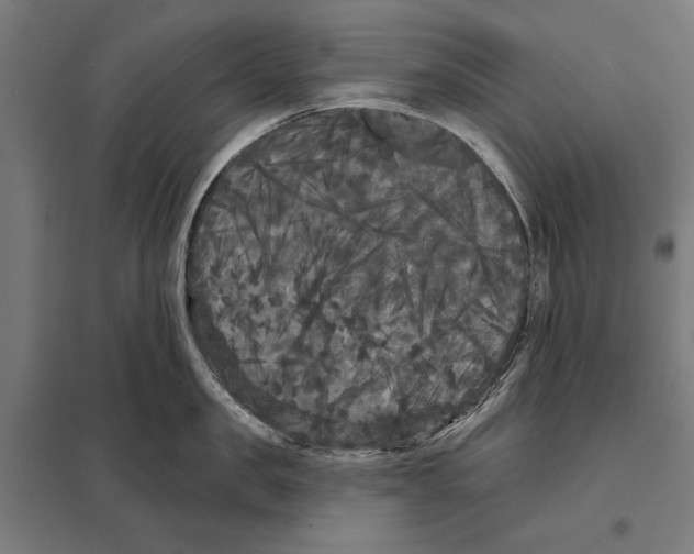 X0000097590957200803280924
