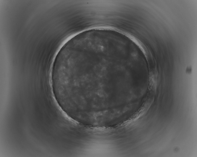 X0000097590959200803280924