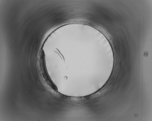 X0000097590960200803280924