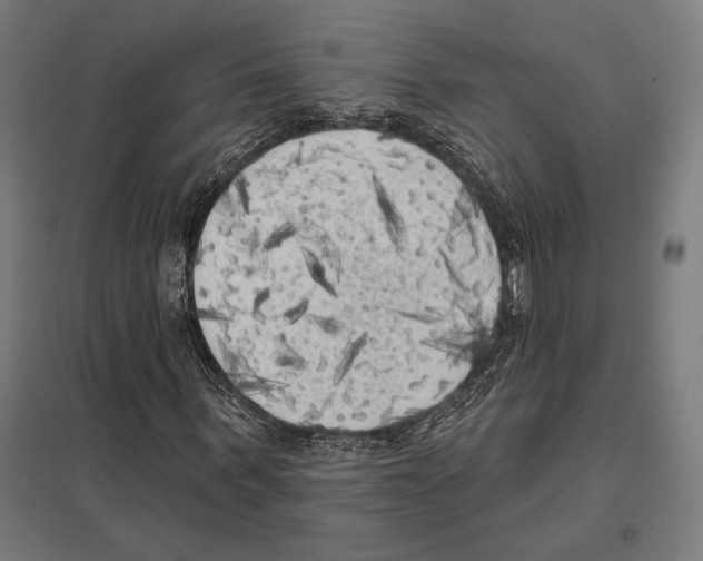 X0000097590963200803280924