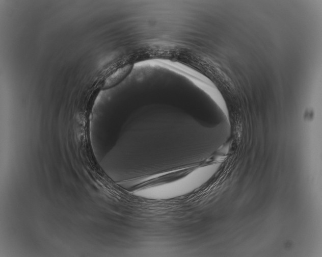 X0000097590964200803280924