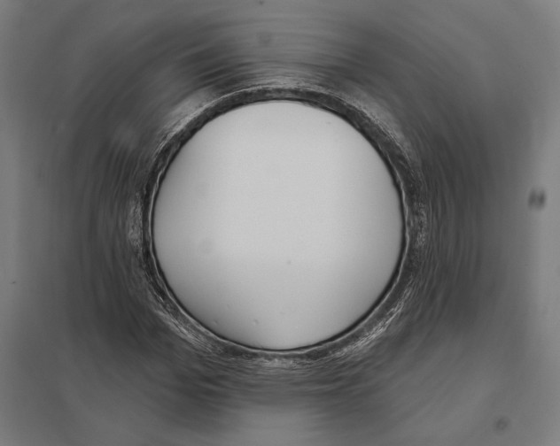 X0000097590969200803280923