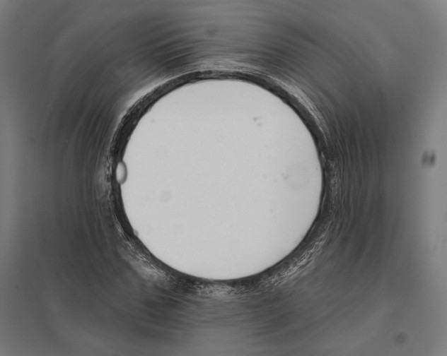 X0000097590971200803280923