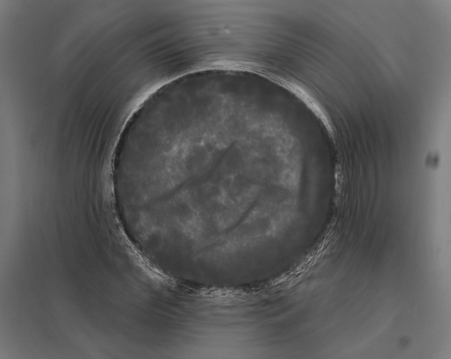 X0000097590972200803280923