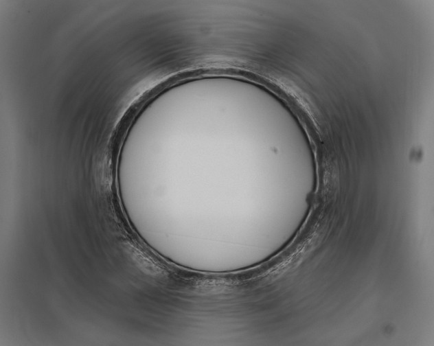 X0000097590973200803280923