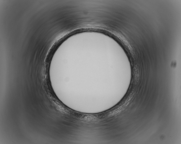 X0000097590974200803280923